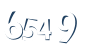 Input this protected code