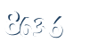 Input this protected code