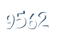 Input this protected code