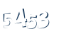 Input this protected code