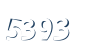 Input this protected code